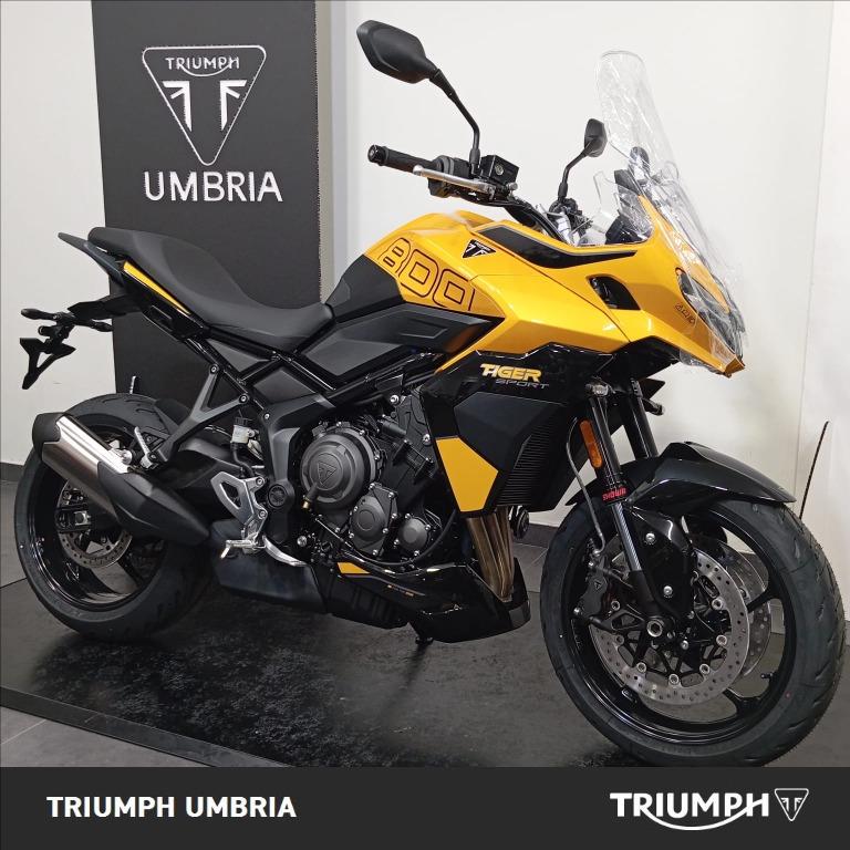 TRIUMPH Tiger Sport 800 Abs