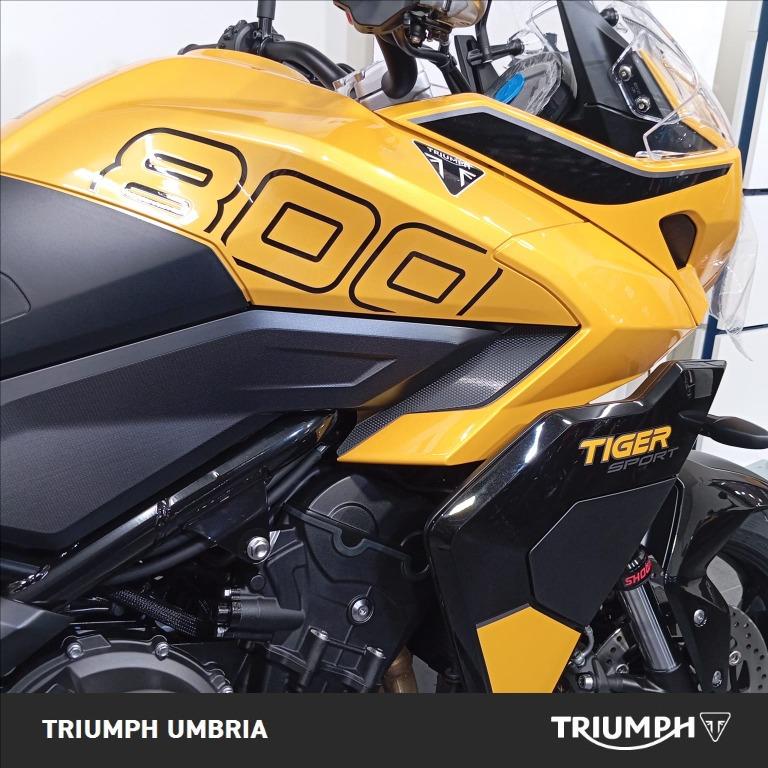 TRIUMPH Tiger Sport 800 Abs