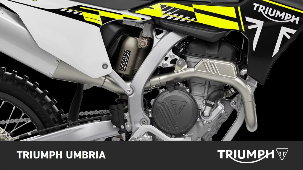 TRIUMPH TF 250 X Abs