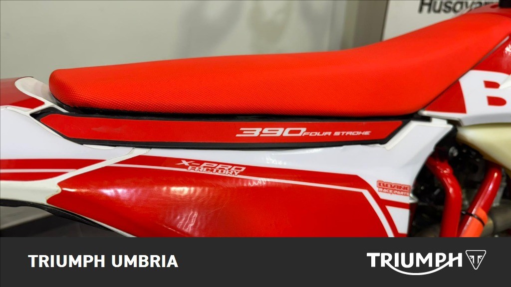 BETAMOTOR RR 390 4T Enduro X Pro