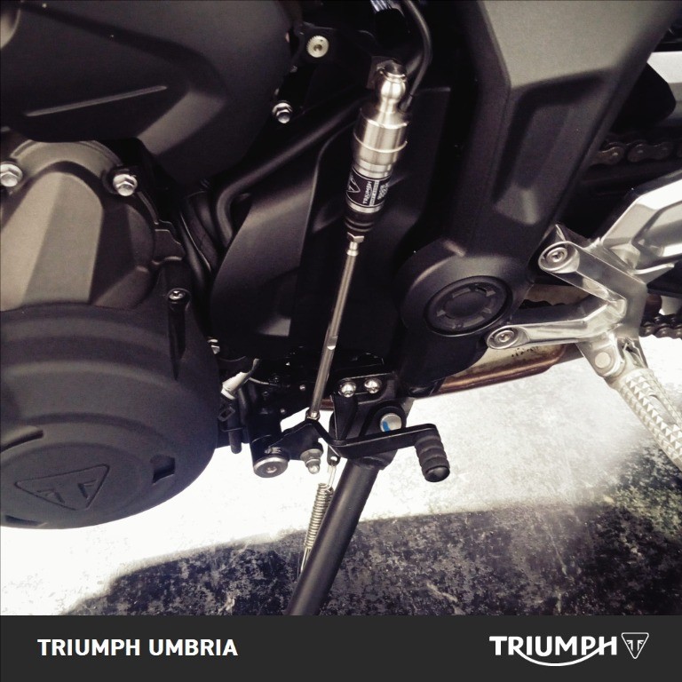 TRIUMPH Trident 660 Diablo Red / Sapphire Black Abs