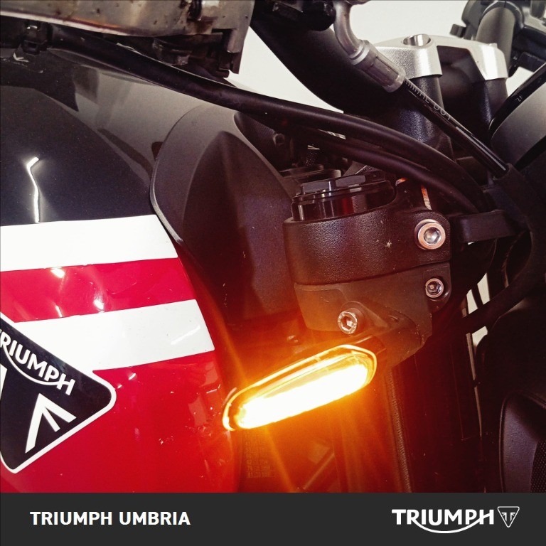 TRIUMPH Trident 660 Diablo Red / Sapphire Black Abs