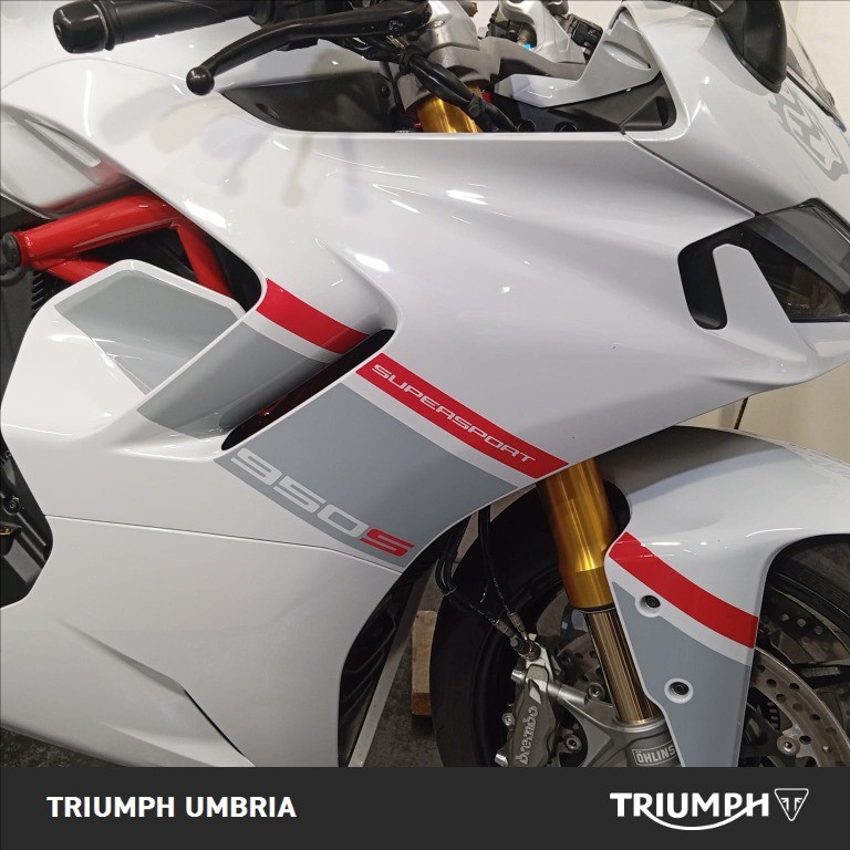 DUCATI 950 Super Sport S White Stripe Livery