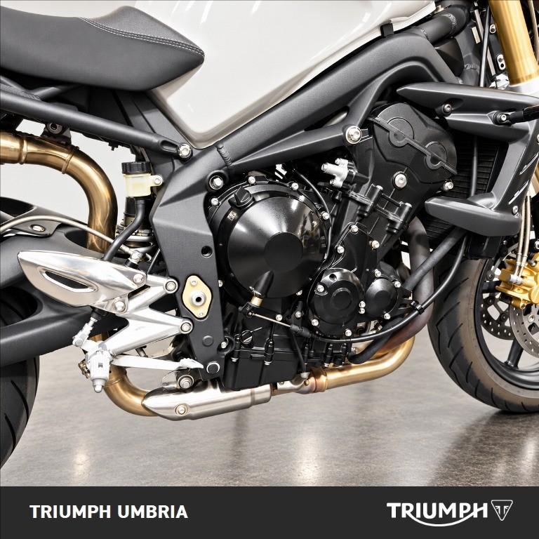 TRIUMPH Street Triple 675 
