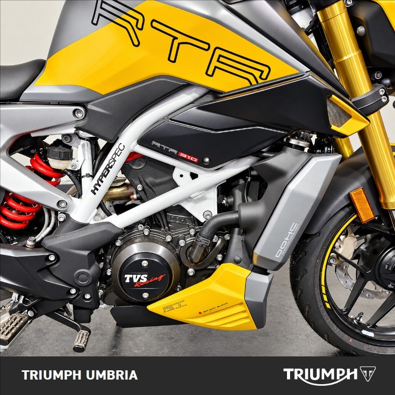 TVS MOTOR RTR 310 Abs E5