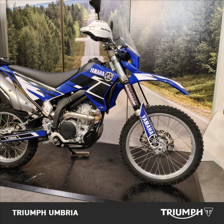 YAMAHA WR 250 R 