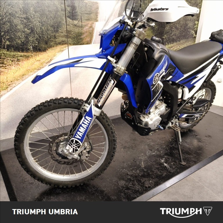 YAMAHA WR 250 R 