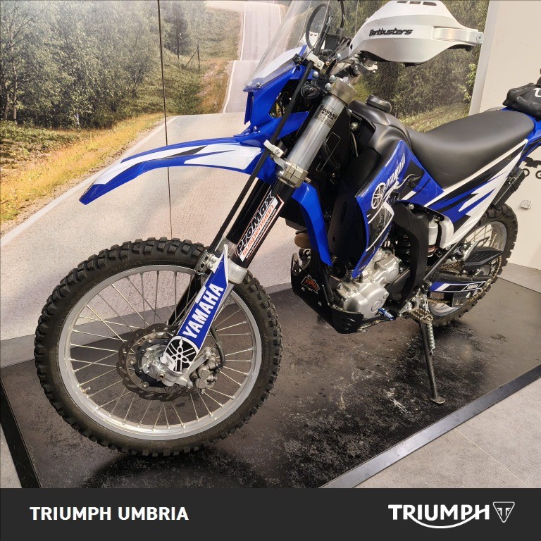 YAMAHA WR 250 R 